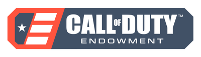 10% выручки от продажи этой игры будут направлены на   Call of Duty Endowment (CODE)   ,